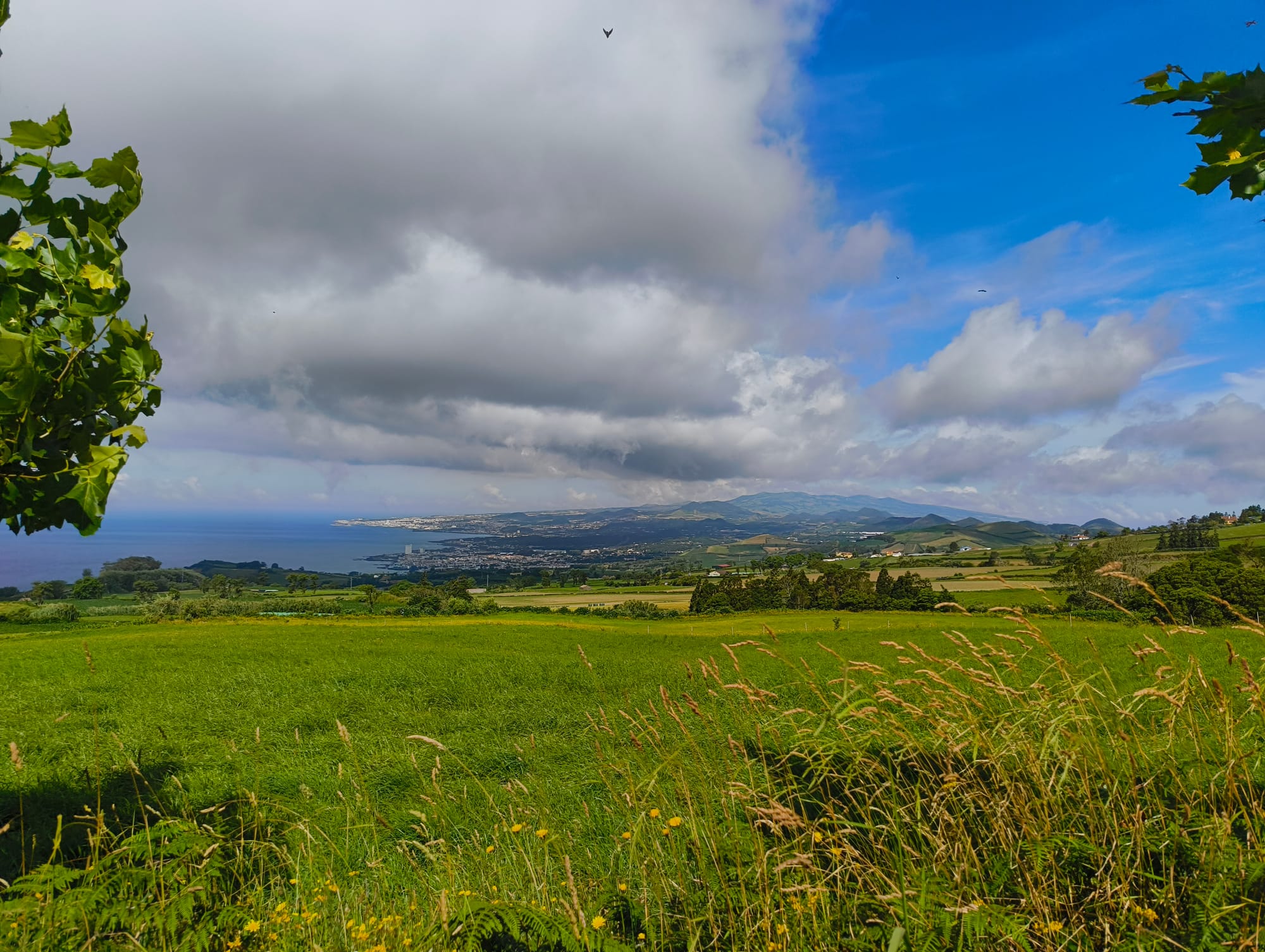 My time in São Miguel