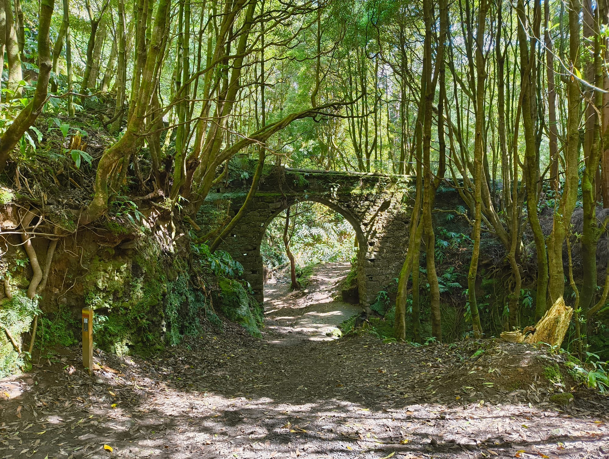 A stone bridge arching over a forest path. There are leaf trees everywhere. 