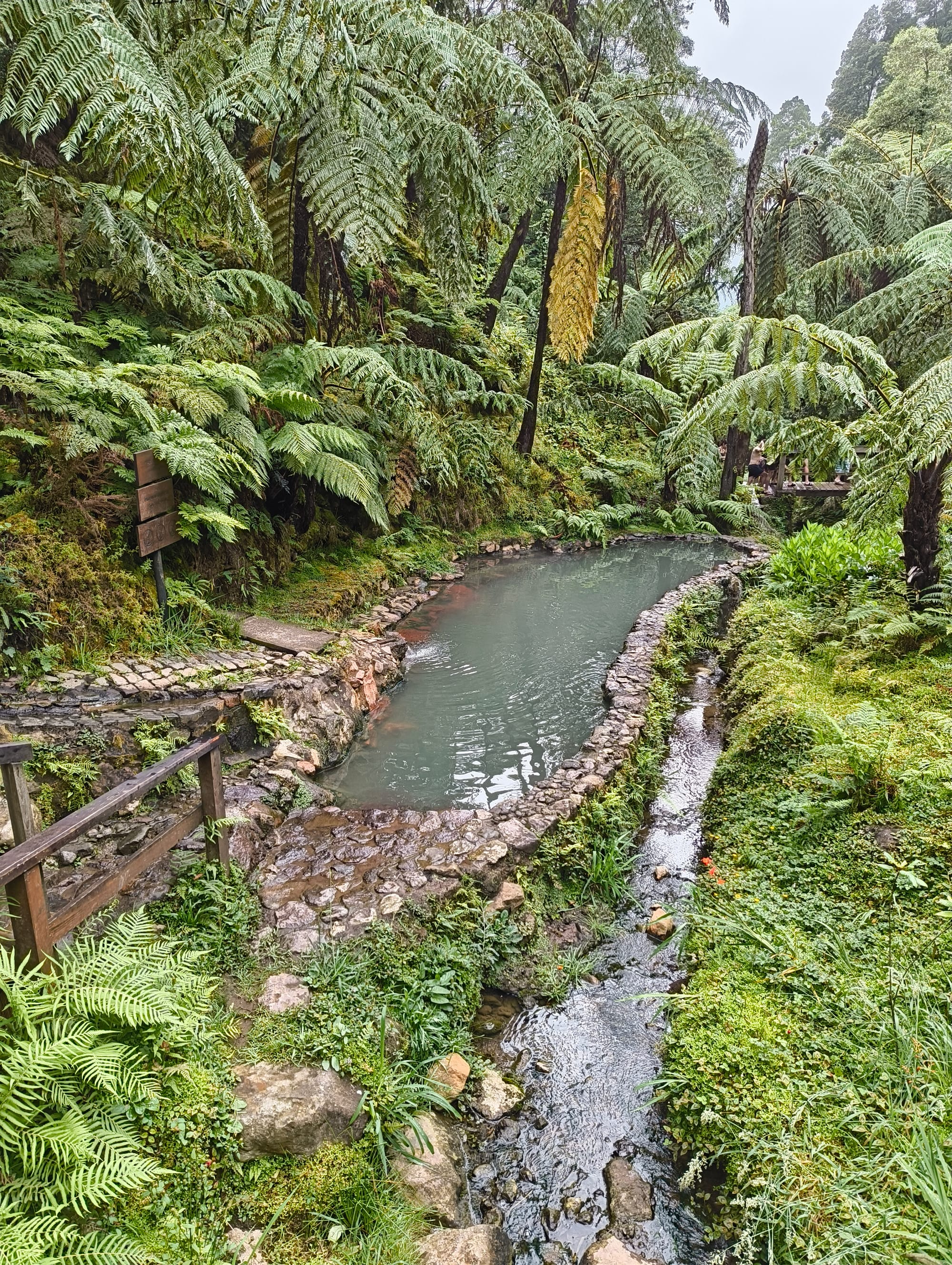 My time in São Miguel