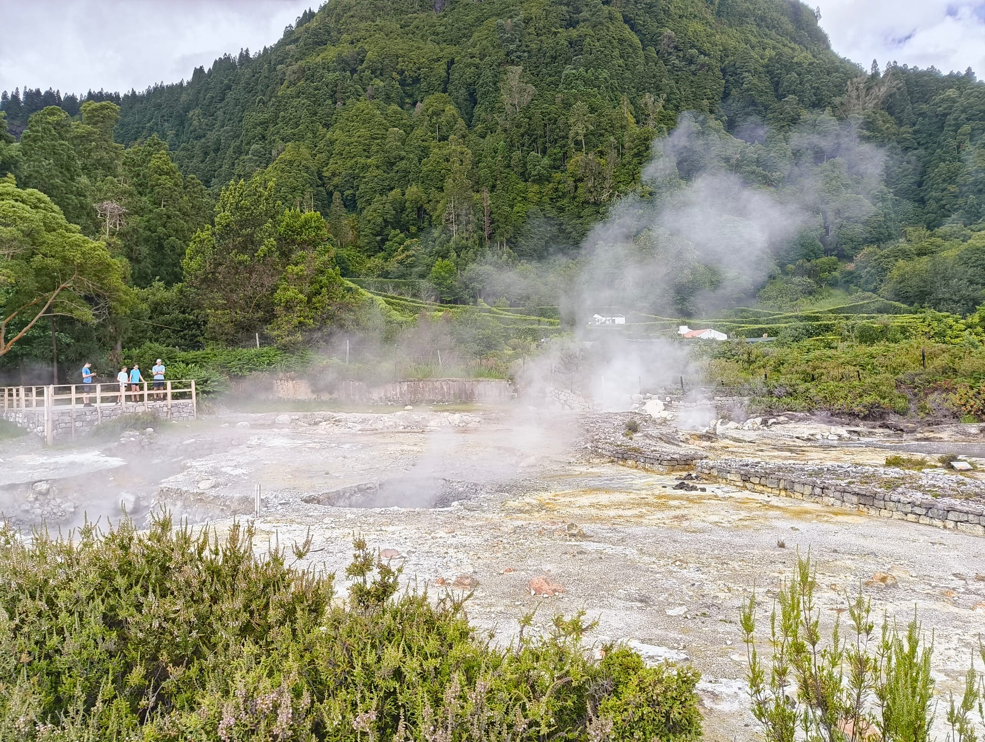 View of the Fumarolas da Lagoa das Furnas